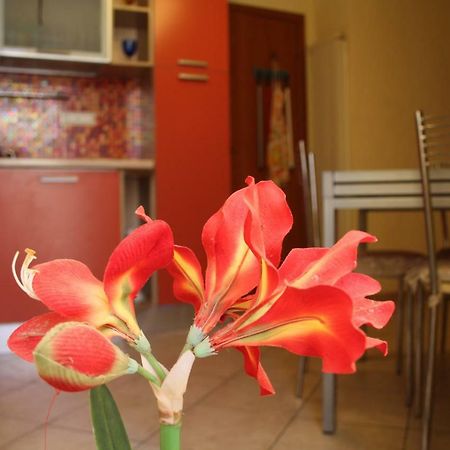 Pisa Town Bed and Breakfast Buitenkant foto