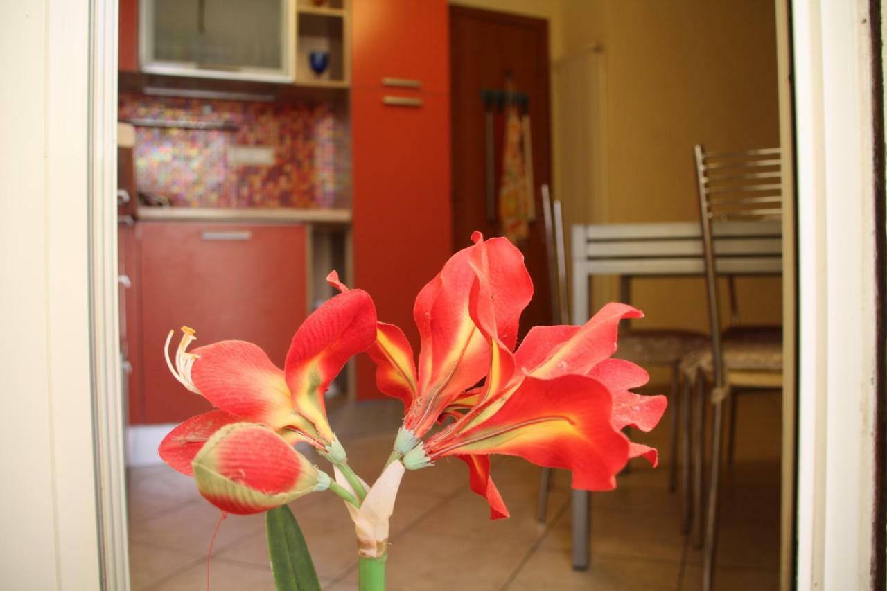 Pisa Town Bed and Breakfast Buitenkant foto