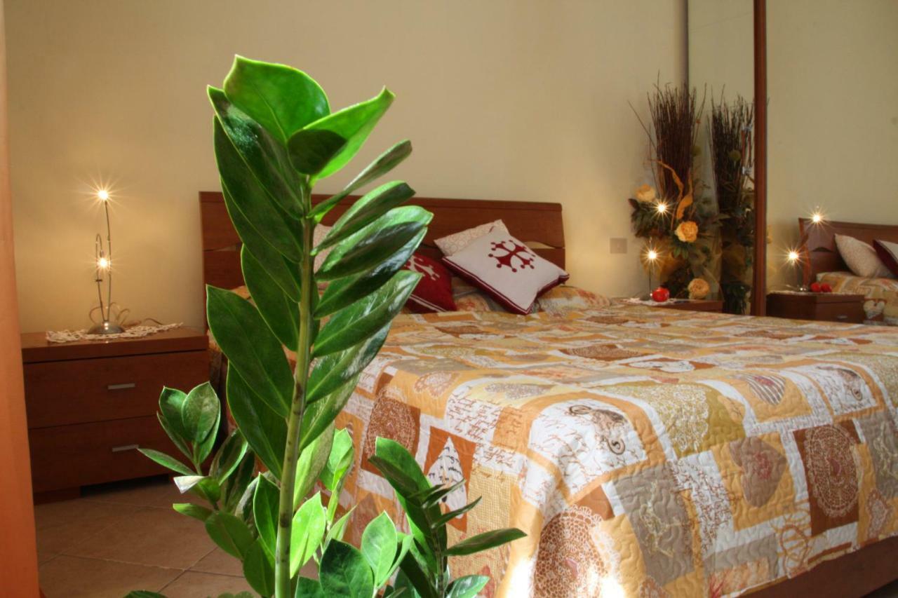 Pisa Town Bed and Breakfast Buitenkant foto