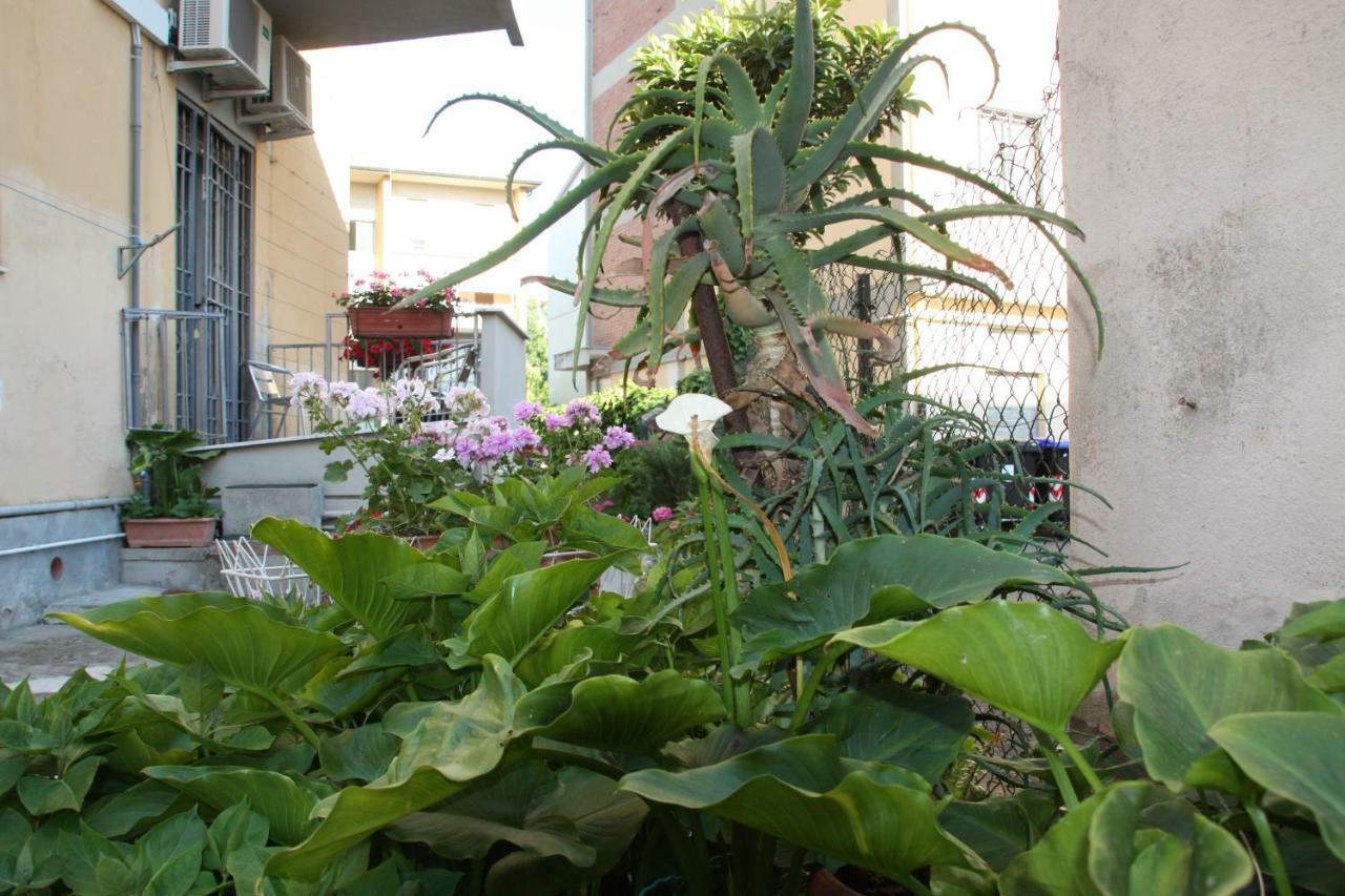 Pisa Town Bed and Breakfast Buitenkant foto