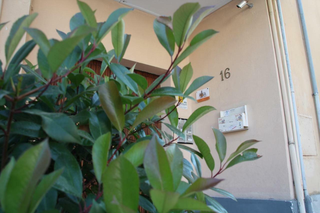 Pisa Town Bed and Breakfast Buitenkant foto